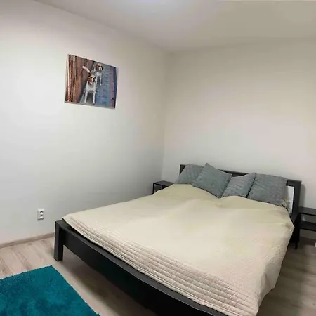 Apartment “rose”