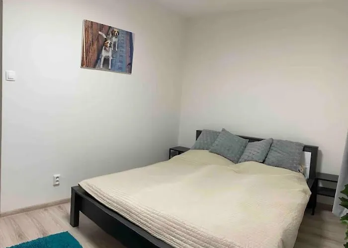 Appartement Rose